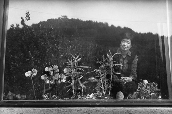 2011년 '육명심 사진전-예술가의 초상 ' 전시에 나온 소설가 박완서의 모습 [사진 뮤지엄한미]