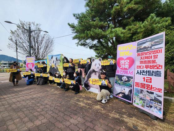 30일 오후 경북 경주시 황남동 내남네거리에서 '푸바오 구출 대작전' 온라인 카페 회원들이 중국에 있는 푸바오의 사육 환경을 개선해줄 것을 촉구하는 집회를 진행하고 있다. 김정석 기자
