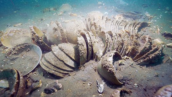국가유산청 국립해양유산연구소는 태안 마도 해역에서 올해 4월부터 현존 유일의 조선시대 선박인 마도4호선의 선체 인양을 시작해 지난달 작업을 마쳤으며, 추가로 새로운 난파선이 묻혀있는 징후도 확인했다고 10일 밝혔다. 사진은 청자다발 주변에서 발견된 마도 5호선(추정) 목제닻과 닻돌. 사진 국가유산청