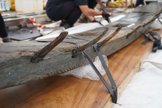 국가유산청 국립해양유산연구소는 태안 마도 해역에서 올해 4월부터 현존 유일의 조선시대 선박인 마도4호선의 선체 인양을 시작해 지난달 작업을 마쳤으며, 추가로 새로운 난파선이 묻혀있는 징후도 확인했다고 10일 밝혔다. 사진은 마도4호선 선체편이 태안해양유물전시관의 탈염처리장에 입고된 모습. 사진 국가유산청