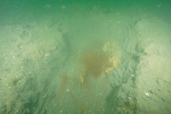 국가유산청 국립해양유산연구소는 태안 마도 해역에서 올해 4월부터 현존 유일의 조선시대 선박인 마도4호선의 선체 인양을 시작해 지난달 작업을 마쳤으며, 추가로 새로운 난파선이 묻혀있는 징후도 확인했다고 10일 밝혔다. 사진은 마도해역 음파탐사 중 발견한 마도 5호선(추정) 청자다발. 사진 국가유산청