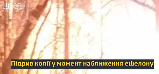 정근영 디자이너