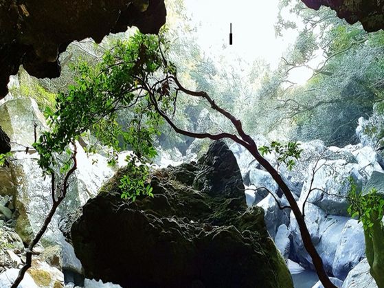 산림치유 프로그램리 진행되는 제주 머체왓숲길 전경. 사진 제주관광공사