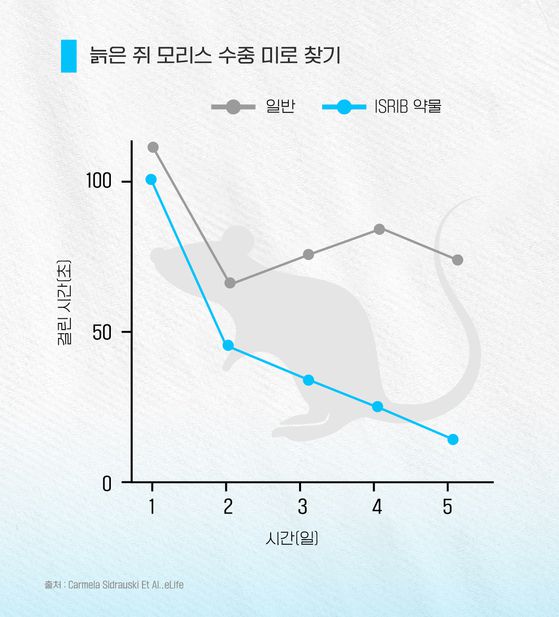 보통 1분이 걸리는 수중 미로를 ISRIB을 투여한 쥐들은 평균 16초만에 찾아냈다.