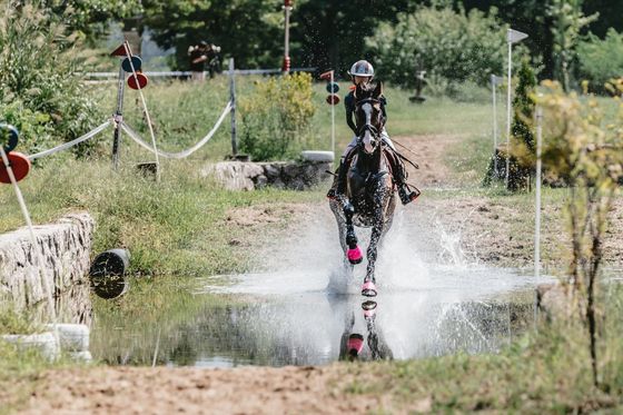 승마 대회 모습. 본 기사와 관련 없음. 중앙포토