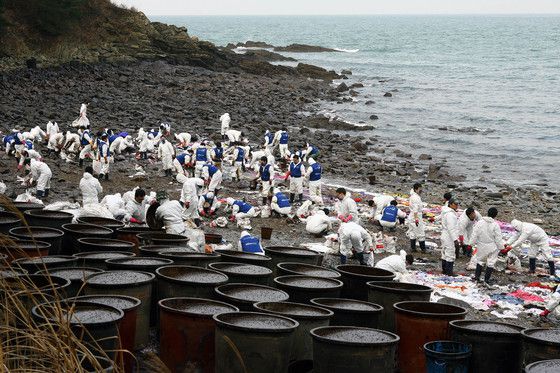 2007년 12월, 태안 기름 유출 사고가 터지자 전 국민적 자원봉사 운동이 벌어졌다. [중앙포토]