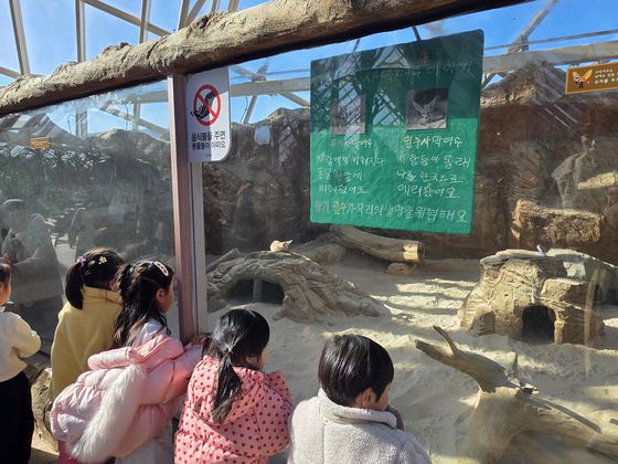 지난달 28일 국립생태원 에코리움에서 어린이들이 유기되거나 밀반입된 뒤 보호 중인 사막여우를 구경하고 있다. 이영근 기자