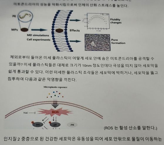 2026학년도 수능에서 만점을 받은 광남고 3학년 학생인 왕정건군이 대학 수시를 준비하기 위해 쓴 진로 탐색 보고서 일부. 김민상 기자