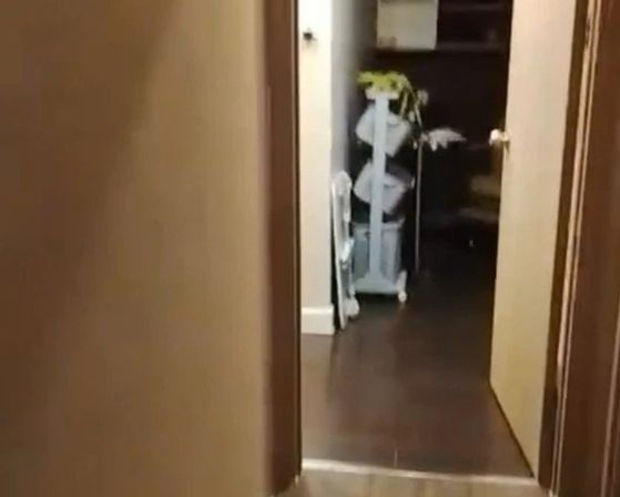 사진 현지 언론 ‘Thanh Nien’에서 보도한 현장