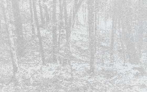 신경철, T-HERE-WSP202402, 2024, Acrylic & Pencil on linen, 162.1x259.1㎝. [사진 리안갤러리]