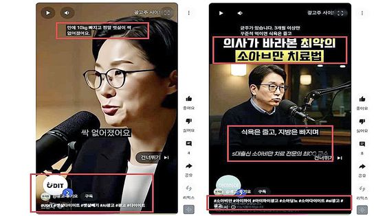 AI를 활용한 허위·과장 광고. 총리실