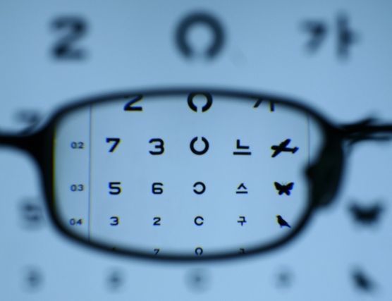 시력판. 중앙포토