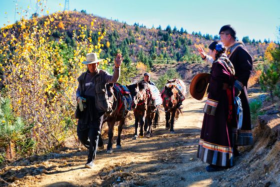 해발 3300m에 위치한 샹그릴라에는 여전히 말을 운송 수단 삼아 살아가는 이들이 있다.