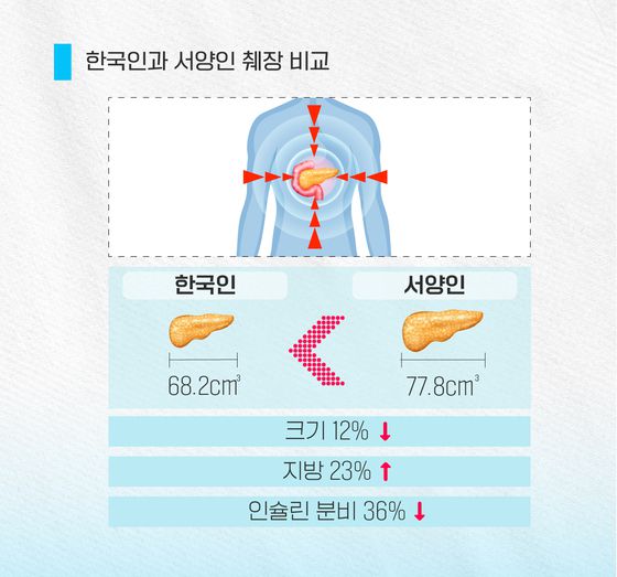 한국인은 서양인과 비교할 때 췌장 크기도 작고 인슐린 분비 능력도 떨어진다.