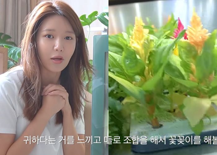소녀시대 수영도 반려식물 키우는 재미에 빠졌다. 사진| 수영 유튜브 캡처