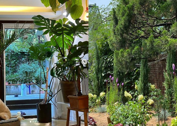 식집사 정재형의 집안과 정원에는 초록이 가득하다. 사진| 정재형 SNS