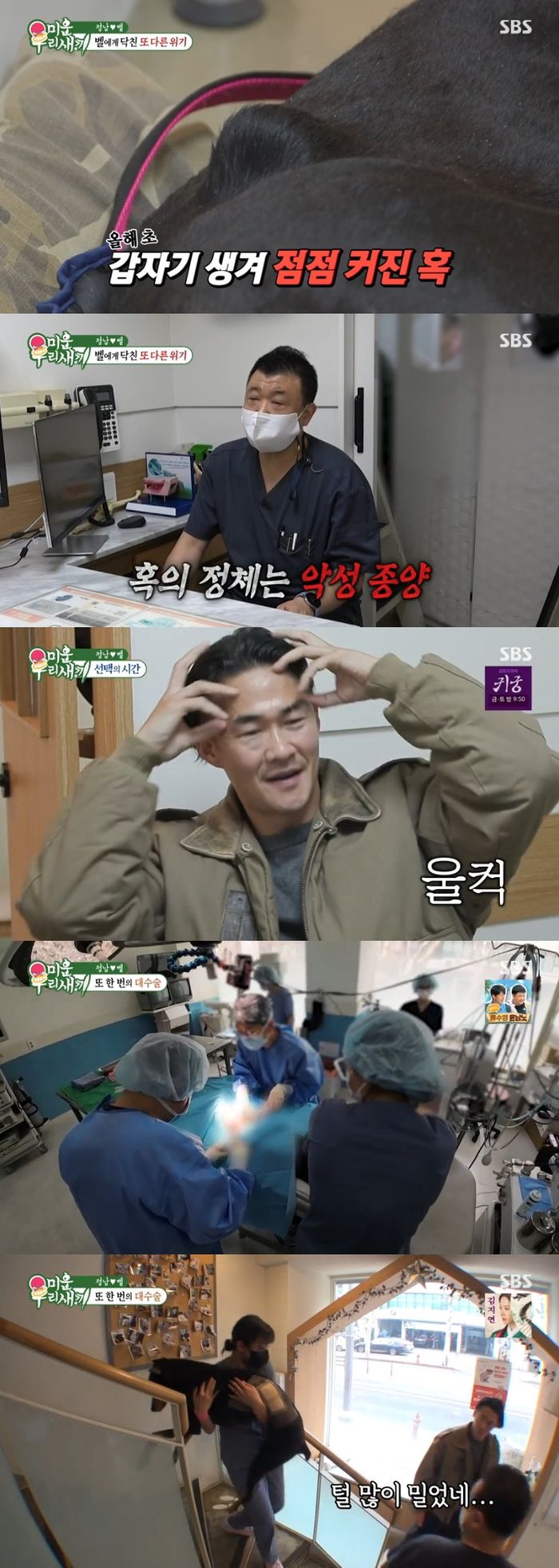 ‘미운 우리 새끼’ 사진|SBS