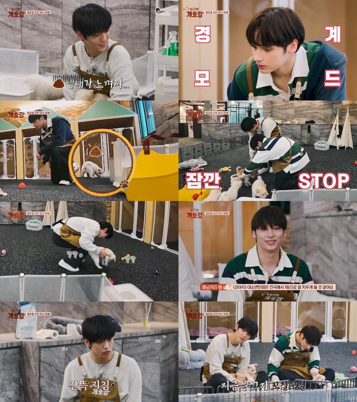 ‘집 나가면 개호강’. 사진ㅣJTBC