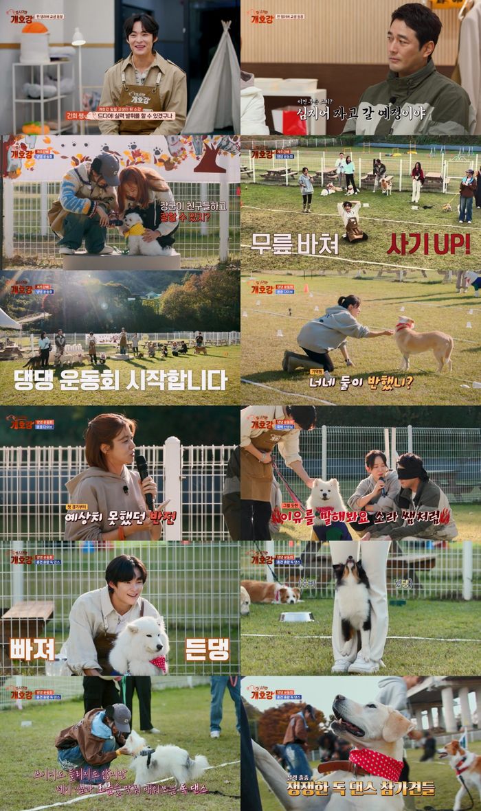‘집 나가면 개호강’. 사진| JTBC