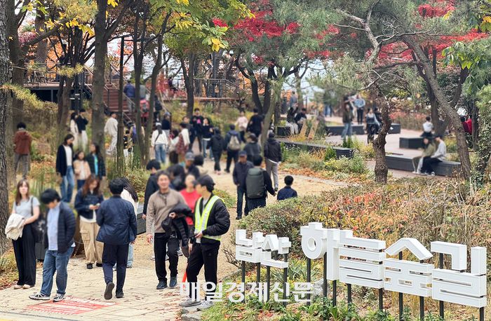 지난 주말 남산 하늘숲길을 찾은 시민들이 가을을 느끼고 있다. <강영국 기자>