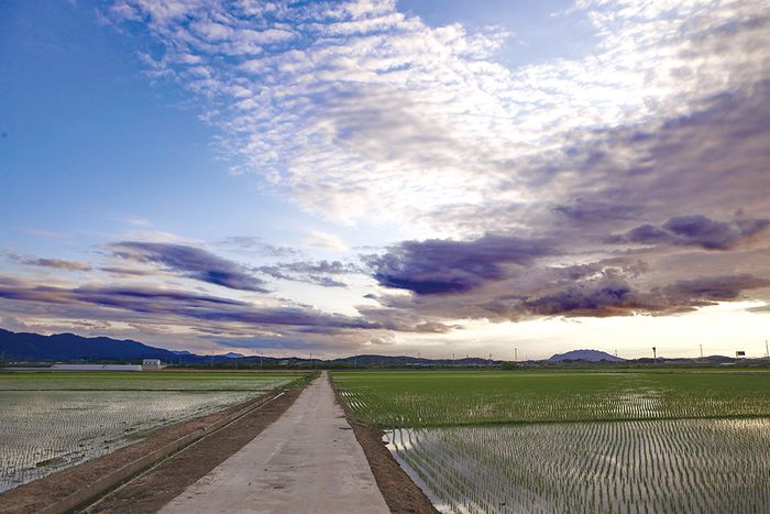 담양 가는 길의 풍경