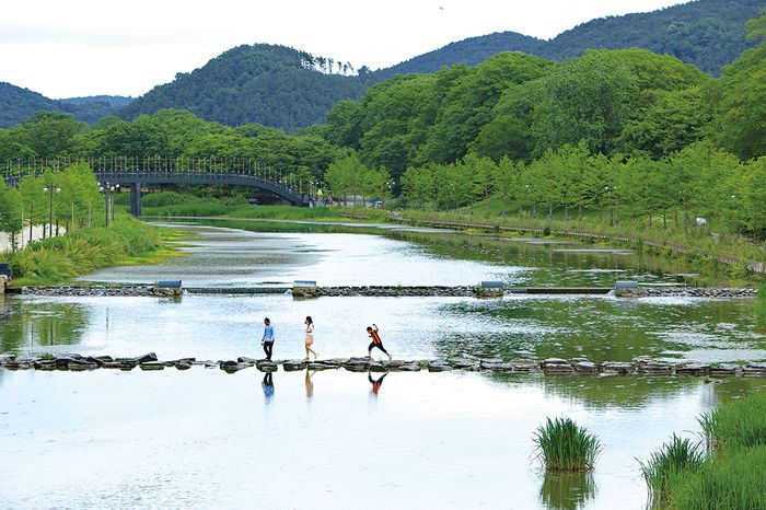 관방제림 앞 담양천