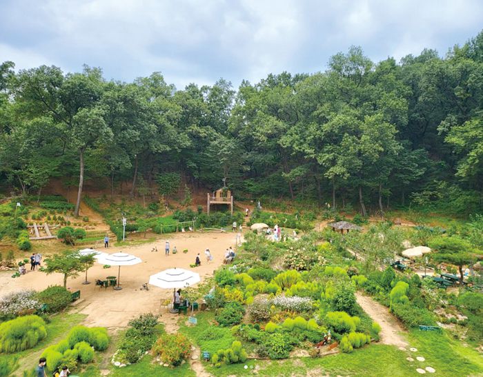 식물을 키우며 치유하는 ‘반디세상’