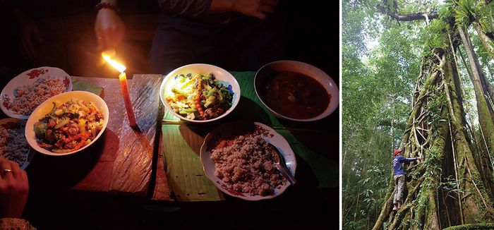 정글 트레킹에서 맛본 최고의 저녁 밥상, 울창한 숲과 계곡을 따라 즐기는  정글 트레킹