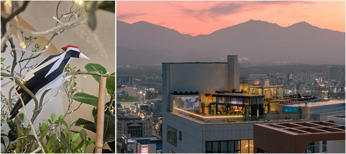 (좌)까막 딱따구리 종이접기 모형 (우)홈 마리나 속초 전경