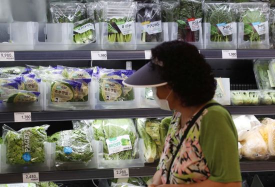 장마 영향으로 채소류 가격이 크게 오르고 있다. 13일 서울 시내 한 대형마트에서 시민들이 장을 보고 있다. /문호남 기자 munonam@