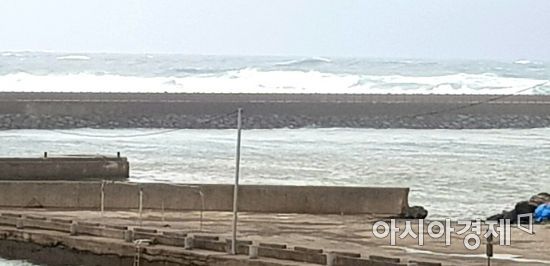 태풍 '바비'가 북상중인 25일 오후 제주시 남원읍 태흥포구.