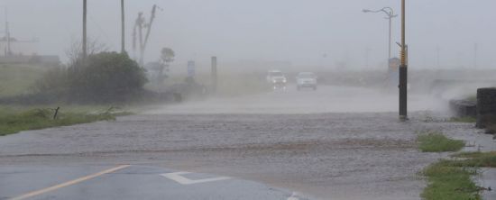 [이미지출처=연합뉴스]