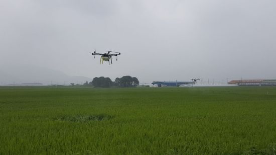 드론을 이용한 병해충 긴급방제. 사진=곡성군