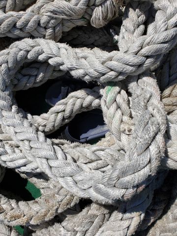 [이미지출처=연합뉴스]