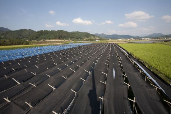 현재 해가림 시설의 모습