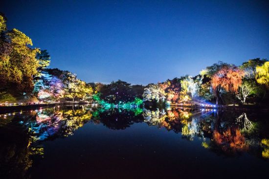 창경궁_빛이그리는시간