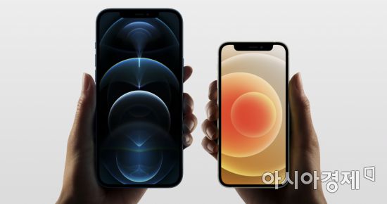 아이폰12 프로 맥스와 아이폰12 미니