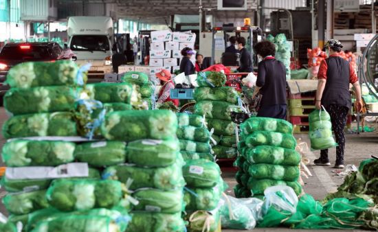 [이미지출처=연합뉴스]