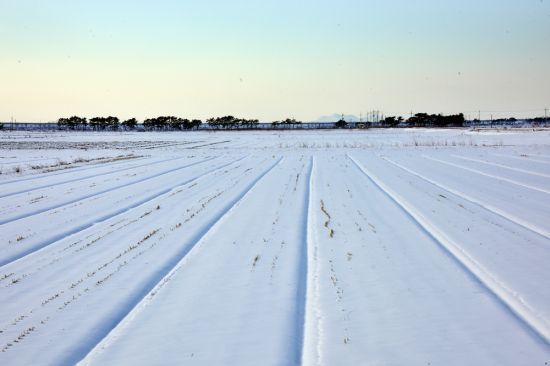 간척사업으로 드넓은 들판으로 변한 계화도