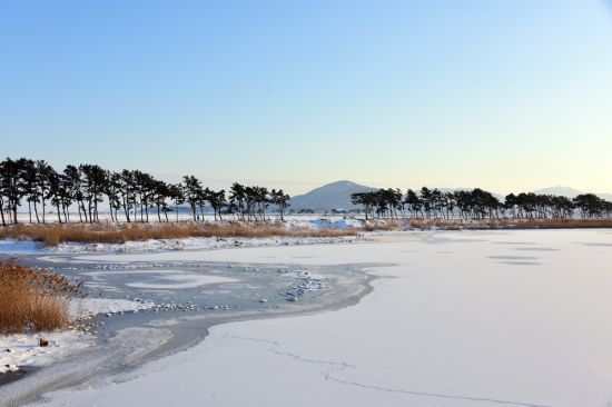 섬이었다 뭍으로 변한 계화도
