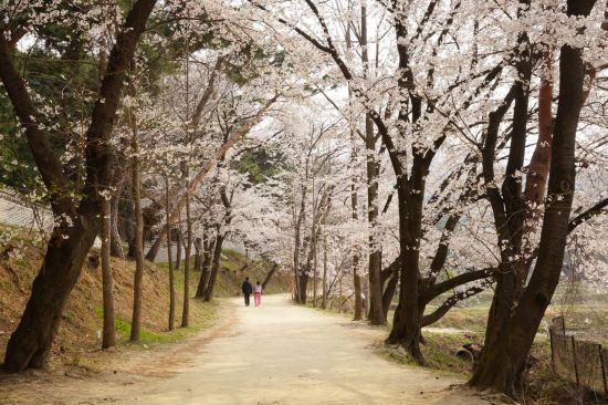 남양주 홍릉과 유릉 영원 일원