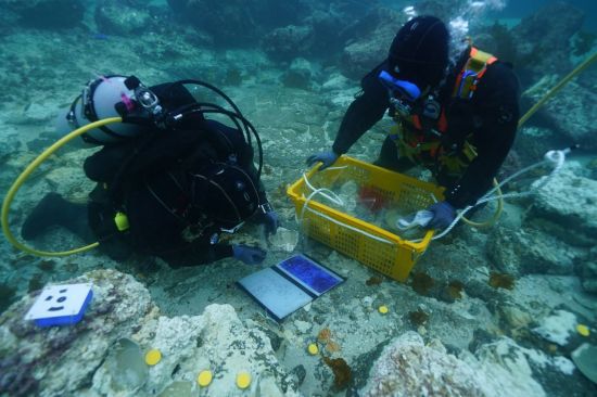 주 신창리 해역 유물 수습 모습