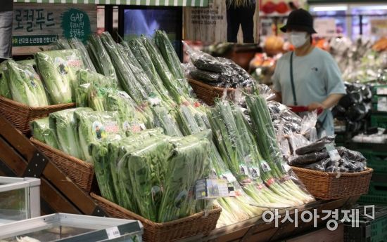 소비자물가가 9년1개월만에 가장 큰 오름세를 나타내며 2개월 연속 2%대 상승을 이어갔다. 사진은 이날 서울 시내의 한 대형마트를 찾은 시민들이 장을 보는 모습./김현민 기자 kimhyun81@