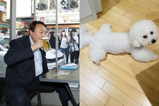 지난달 윤석열 전 검찰총장과 이준석 국민의힘 대표의 '치맥회동' 당시의 모습, 윤 전 총장이 공개한 반려견 /사진=연합뉴스, SNS