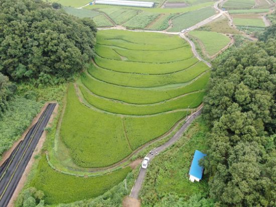 윤희숙 국민의힘 의원 부친이 지난 2016년 농지를 매입한 세종시 전의면 신방리 일대 모습. 최근 국민권익위원회는 국민의힘 윤희숙 의원의 부친이 2016년 이 일대 논 1만871㎡를 사들였던 것과 관련해 농지법과 주민등록법을 위반한 것으로 판단했다. [이미지출처=연합뉴스]
