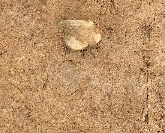 도로면에서 확인된 소 발자국과 수레바퀴 자국