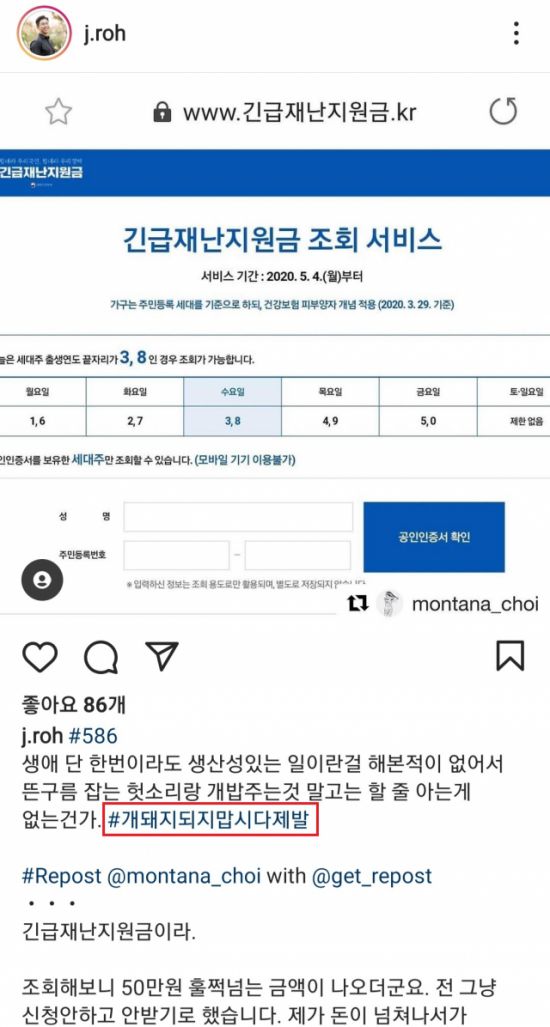 노재승 국민의힘 공동선대위원장이 코로나19 전 국민 재난지원금을 받은 이들을 '개돼지'라고 지칭한 것으로 확인됐다. /사진=노 위원장 인스타그램 캡처