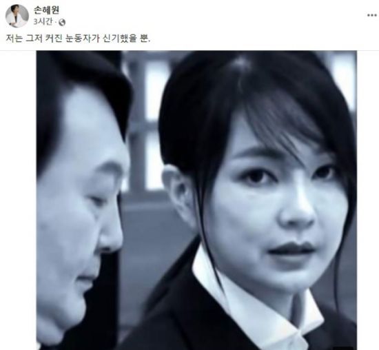 손혜원 전 더불어민주당 의원이 13일 윤석열 국민의힘 대선 후보의 부인 김건희씨를 겨냥해 올린 페이스북 게시글./사진=손 전 의원 페이스북 캡처