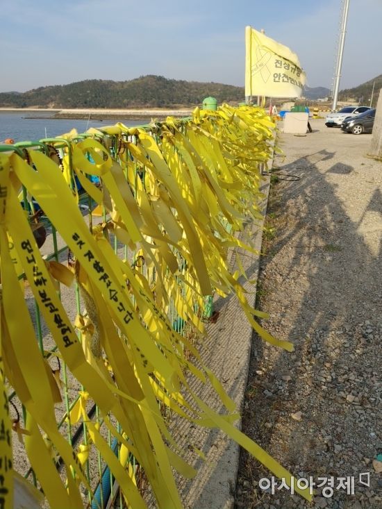 세월호 참사 8주기를 맞은 16일 팽목항에 빛바랜 노란 리본이 나부끼고 있다.