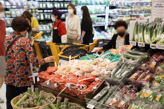 지난 20일 서울 시내 한 대형마트에서 시민들이 장을 보고 있다.